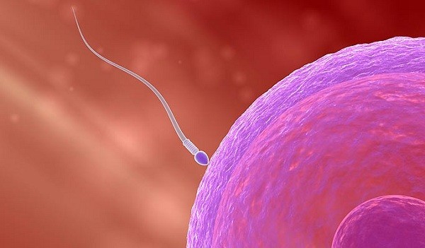 Tổng[-]hợp[-]những[-]khám[-]phá[-]"điên[-]rồ"[-]nhất[-]năm[-]2012[-]13